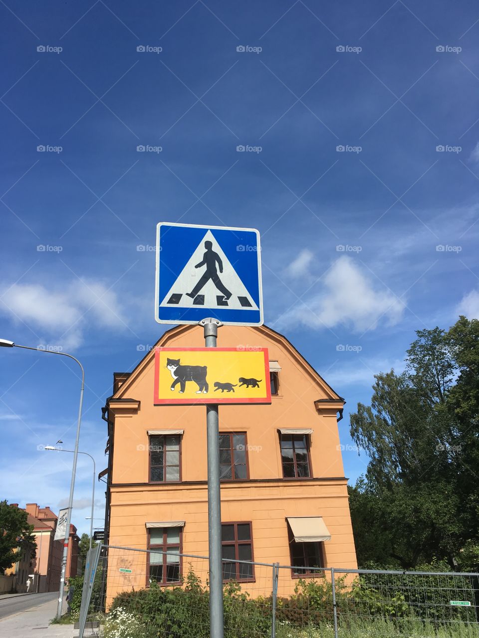 Traffic sign with cats in Uppsala Sweden