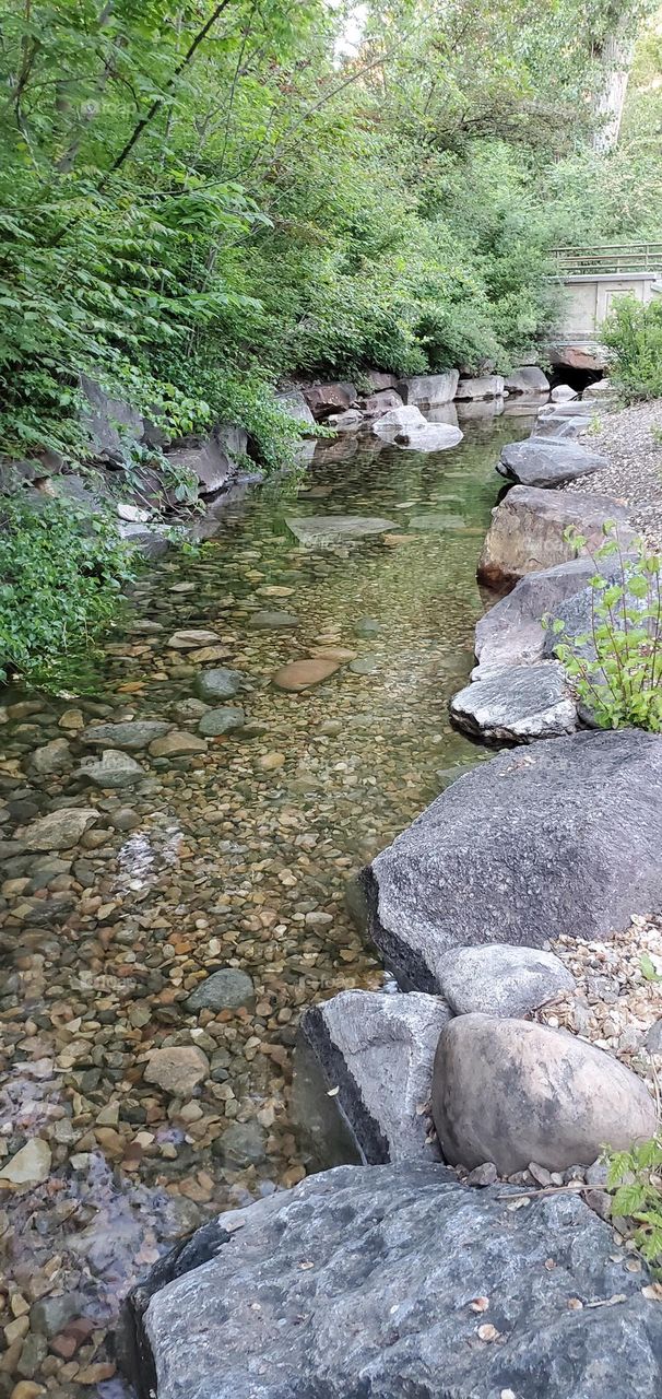 peaceful stream