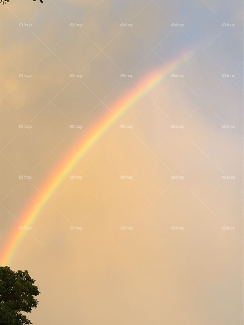 A colorful rainbow appears after an afternoon summer thunderstorm in Florida, USA! 
