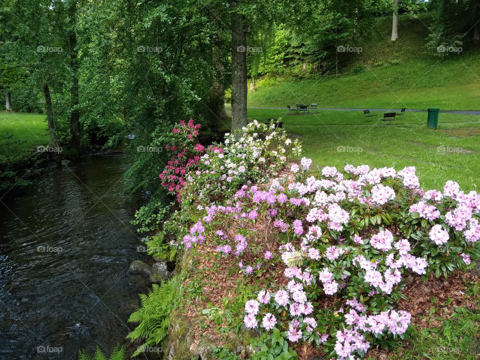 Kurpark in Bad Wildbad