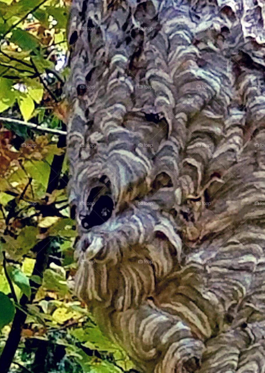 Driving the Back Roads and enjoying everything around us