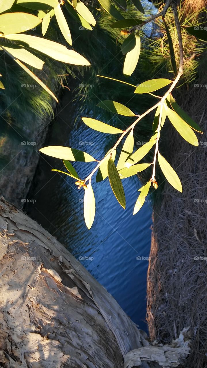 hermosos tomas variadas
