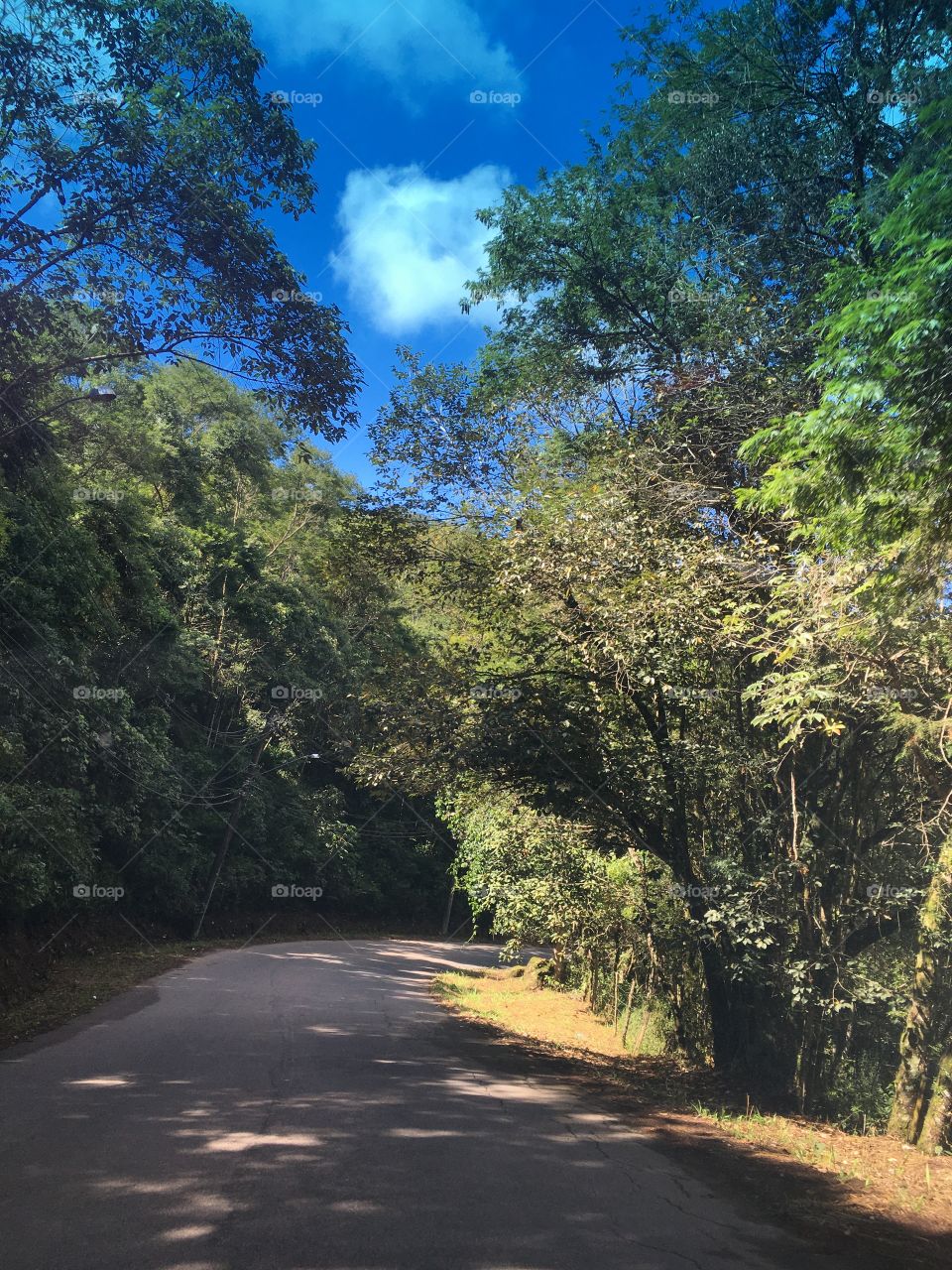 ‪🇧🇷Por essas bandas da Serra do Japi (Jundiaí), sem movimento algum. ‬
‪Xô, Coronavírus!‬
‪🇺🇸Fortunately, in these parts of the Serra do Japi (Jundiaí - Brazil), without any movement.  We are a family owned and operated business.
Hey, Coronavirus!