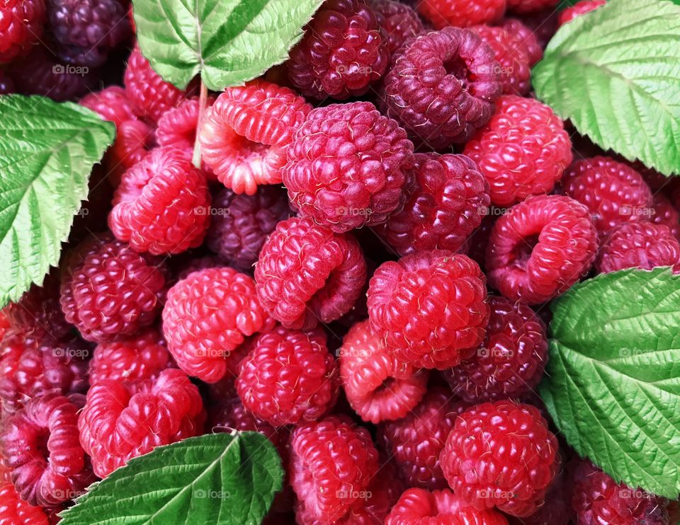 Raspberries 