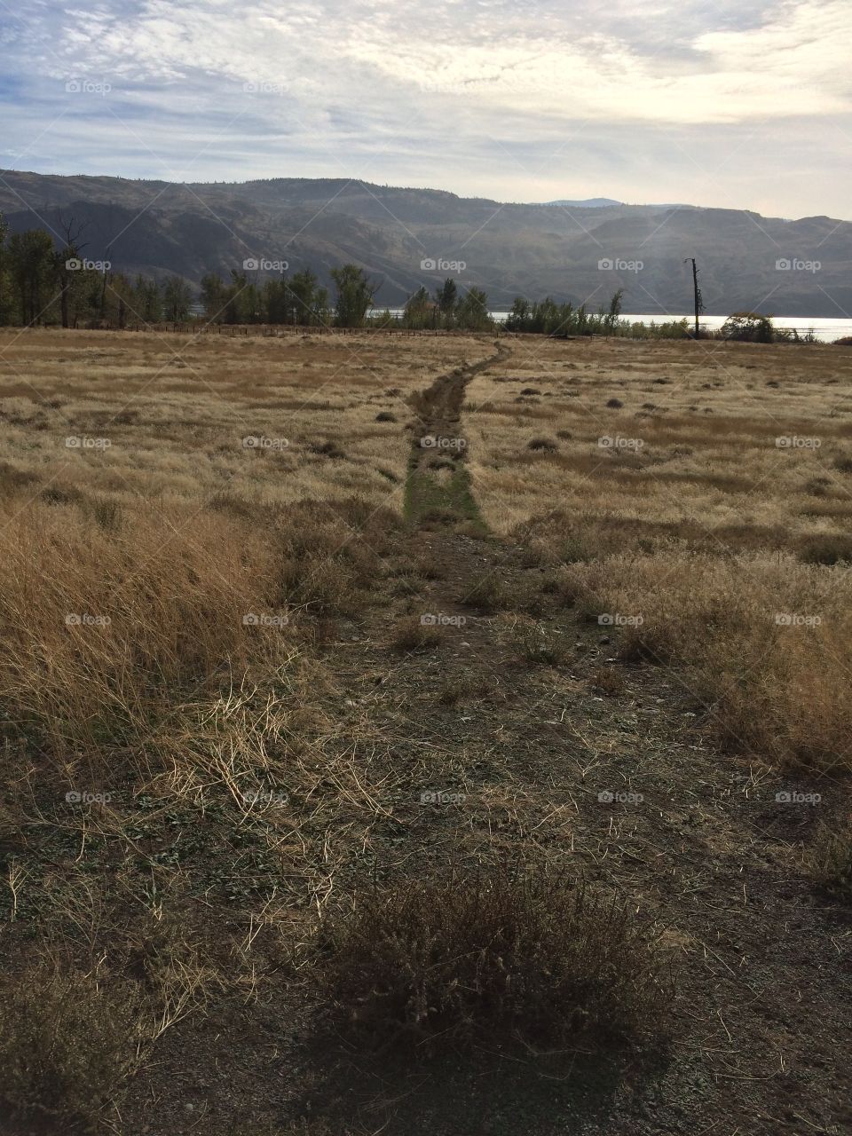 Walking to the river!! 