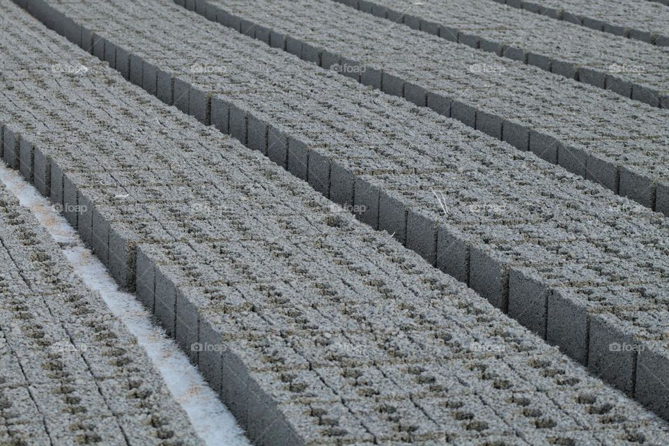 rows of concrete blocks stamped at a brick factory. gray striped image
