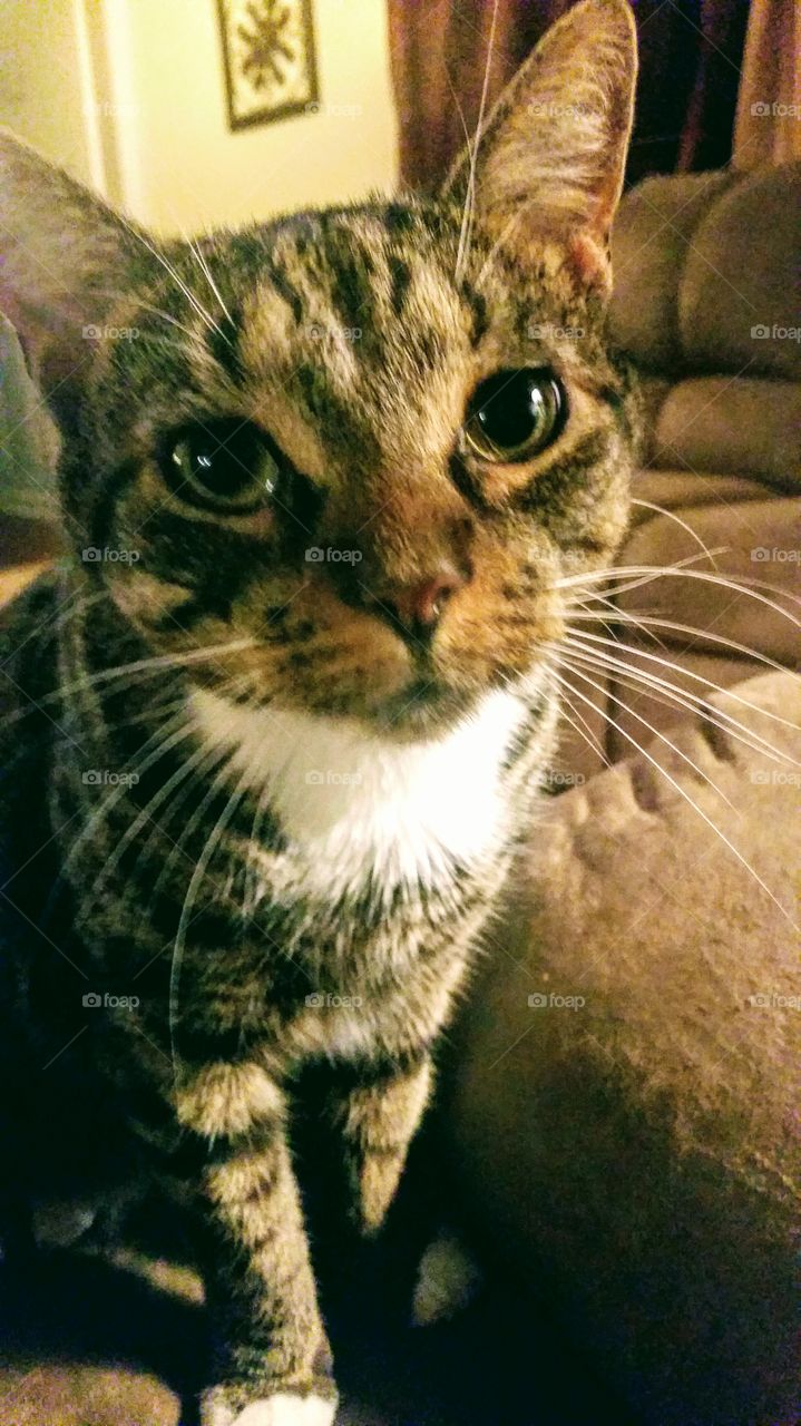 Grady posing for the camera