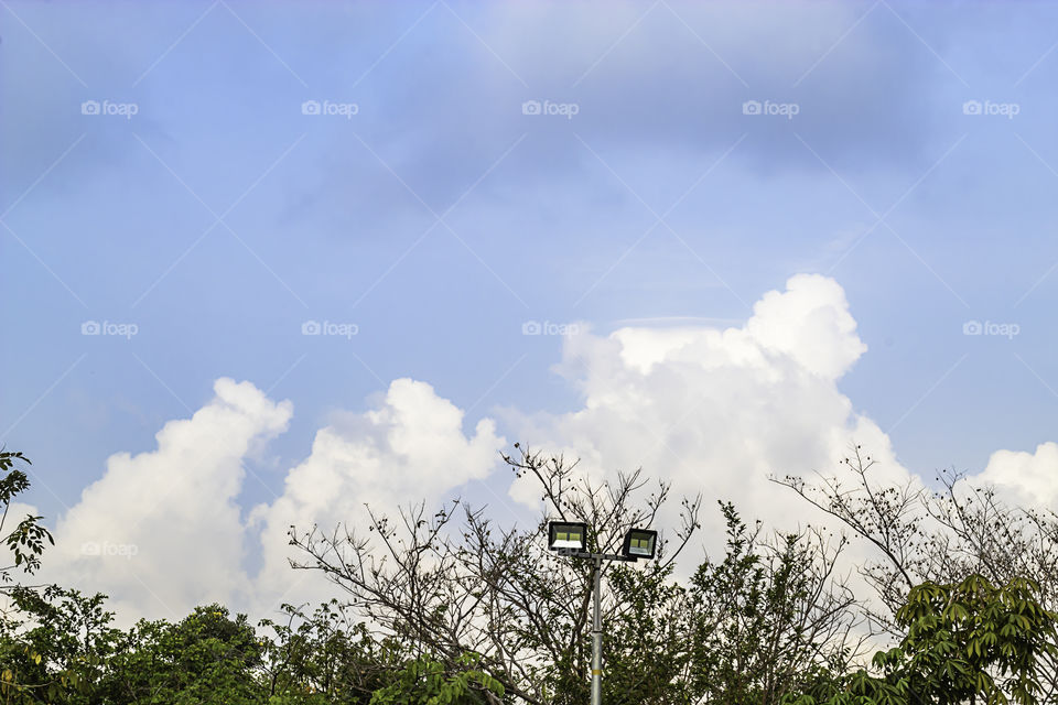 Light poles and trees background sky with cloud