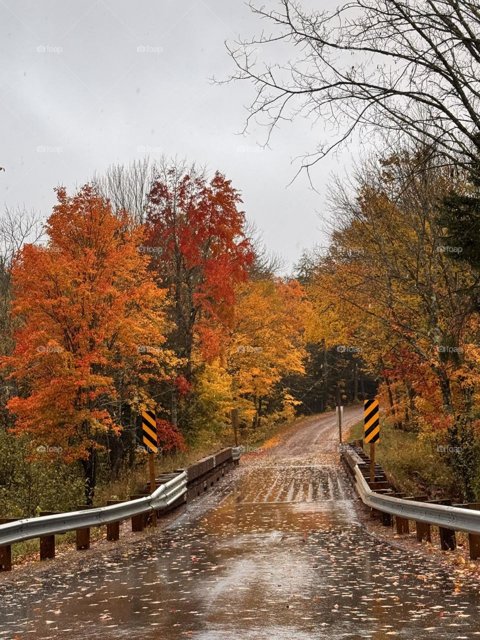 Beautiful Fall colors on a back road with a narrow bridge. 