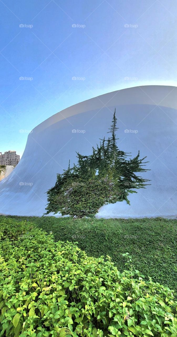 National Taichung Theater roof garden , plants clinging to building. sky garden