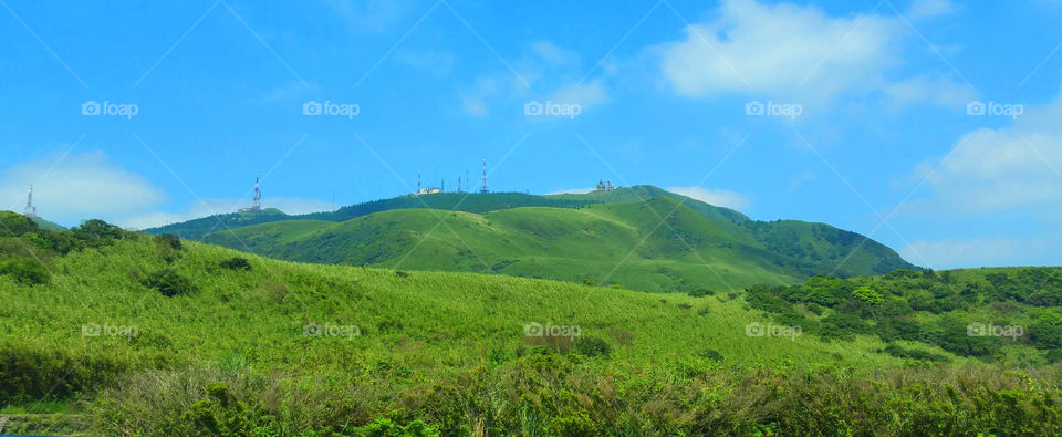 Lush emerald fields in a mountain.