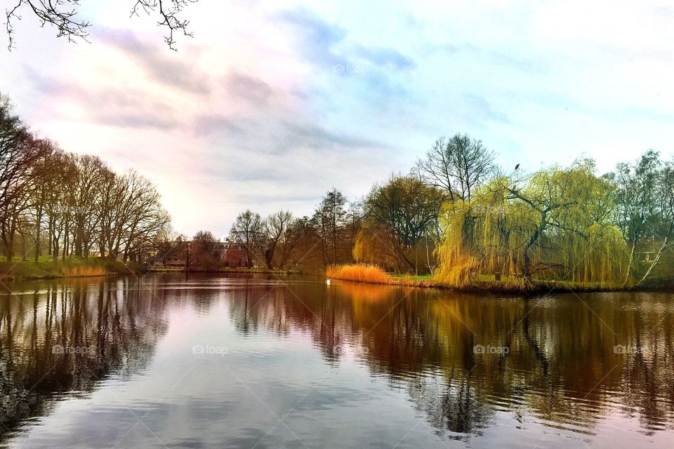 Landscape series - The Netherlands