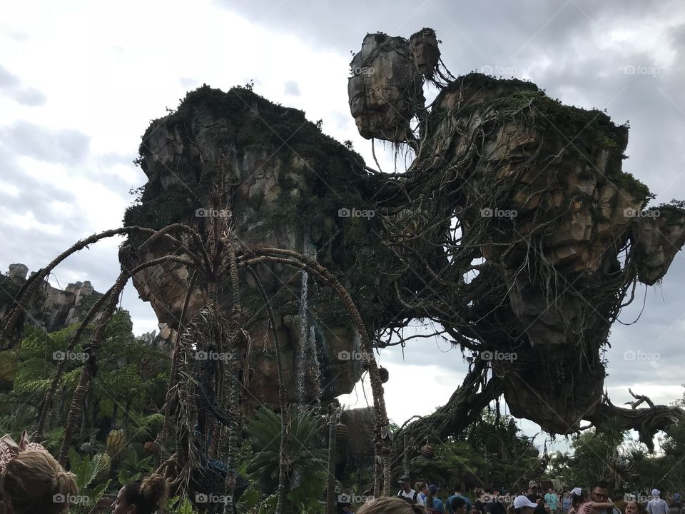 Avatar, Disney’s Animal Kingdom in Orlando 