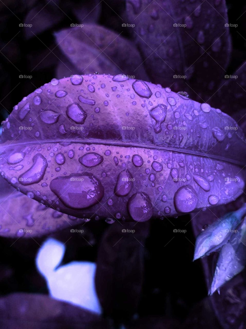rainy drop with light effect