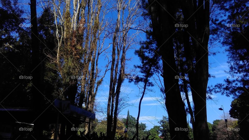 beautiful place there