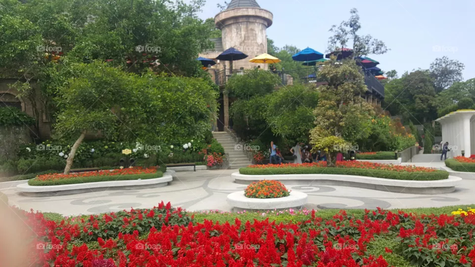 flower garden