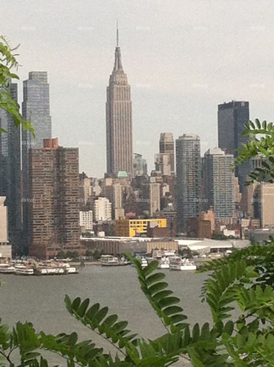 Empire State Building leaves
