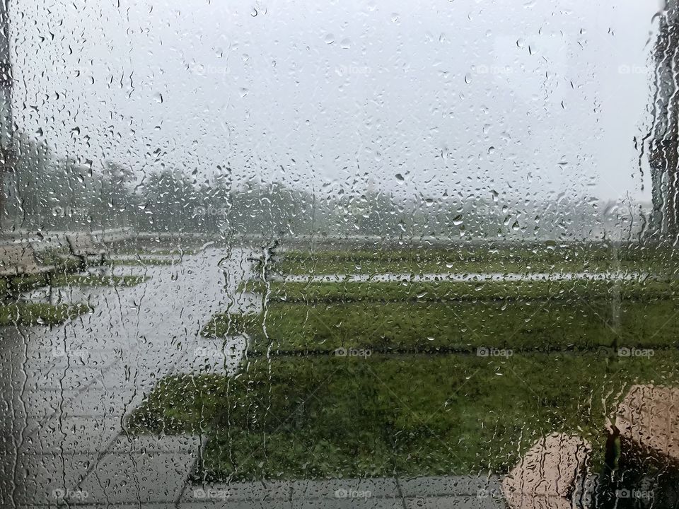 Rainy Day in the City - Green Roof at Potomac Yard Office, Arlington, VA - August 2018