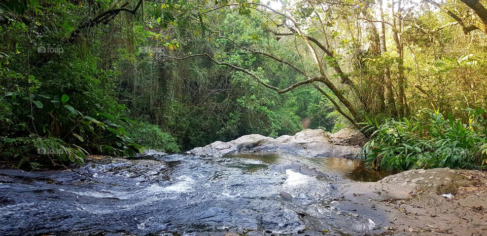 stream of water inside the forest