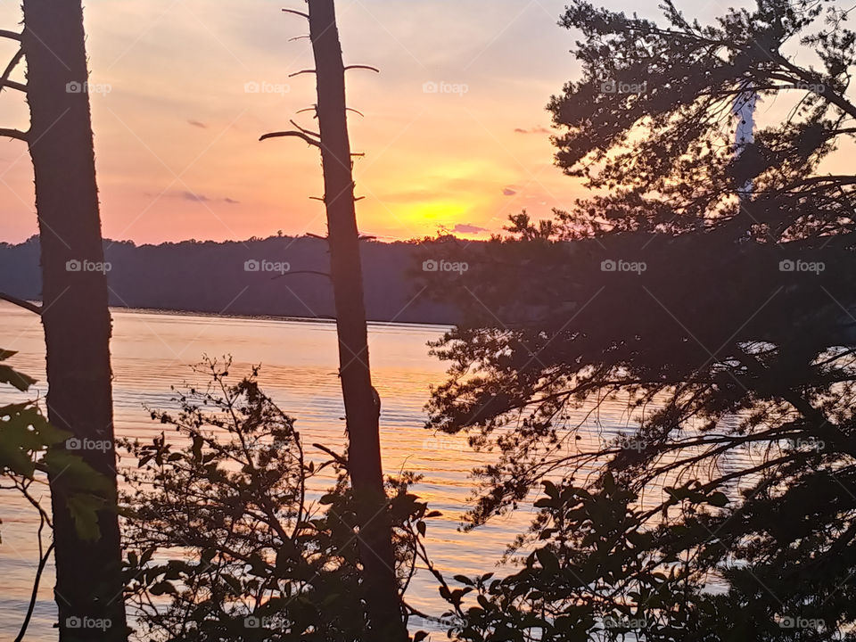 Sunset over lake with tones of purple and orange. Pine trees in front view. Peaceful ripples in water