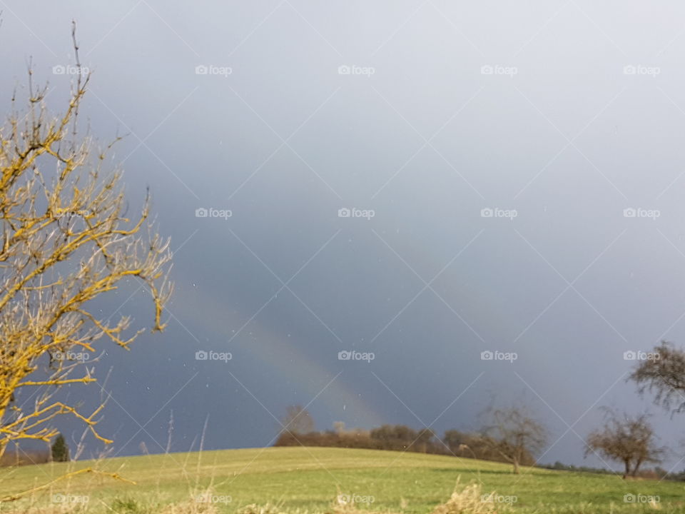 regenbogen