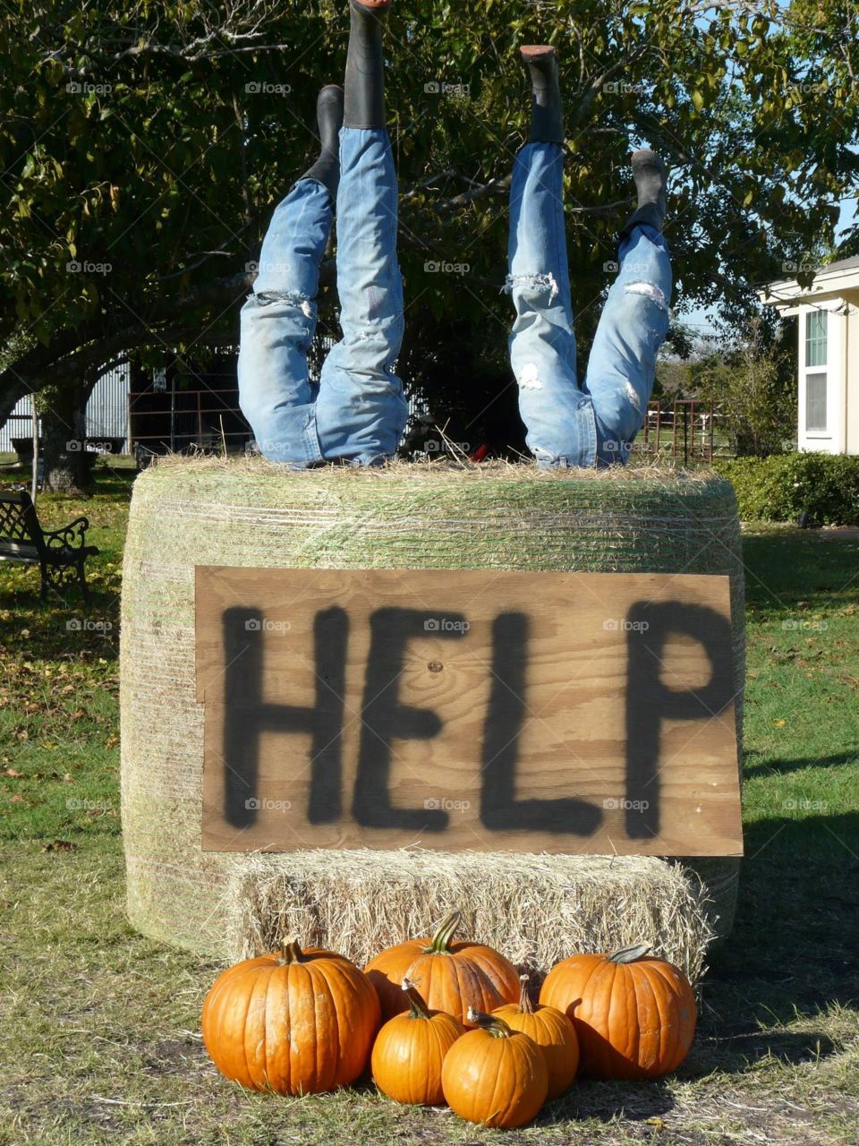 Fall yard display. Fall yard display with hay bale