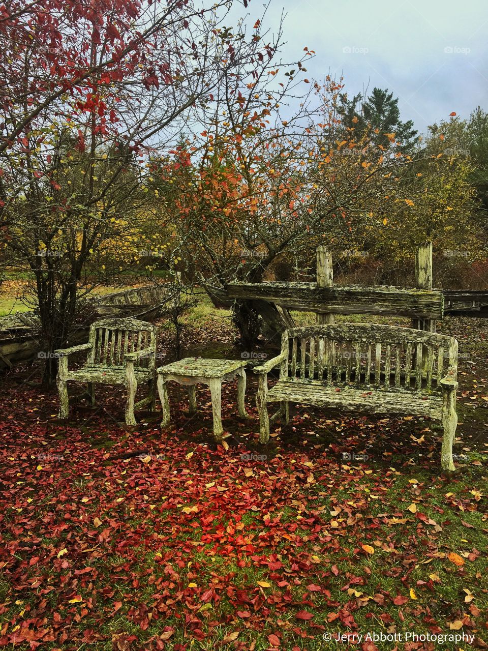 Antique Chair and Bench in Serene Autumn Island Park Setting - Nostalgic Reflection 