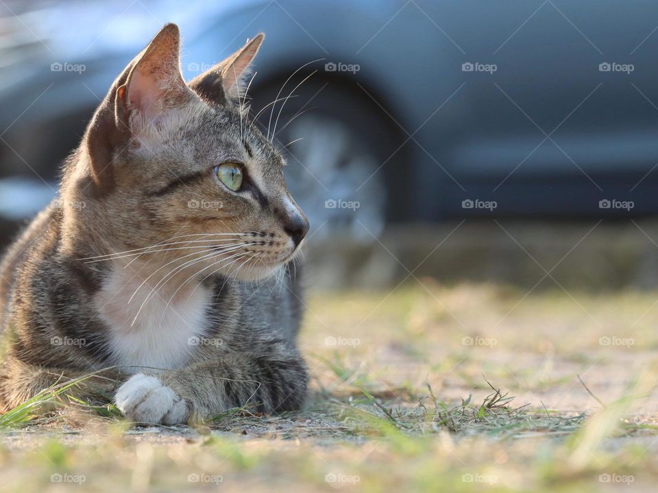 Waiting for some birds.