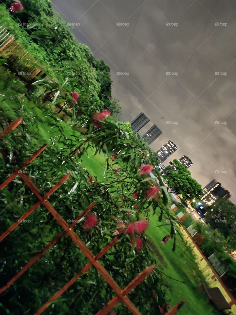 Amazing Combination of Nature
Behind the Bars...
Cloudy sky โ๏ธ๐จ๏ธ๐
Flower plant๐บ๐บ
Green Park ๐๐ฟ
Multistorey Buildings
