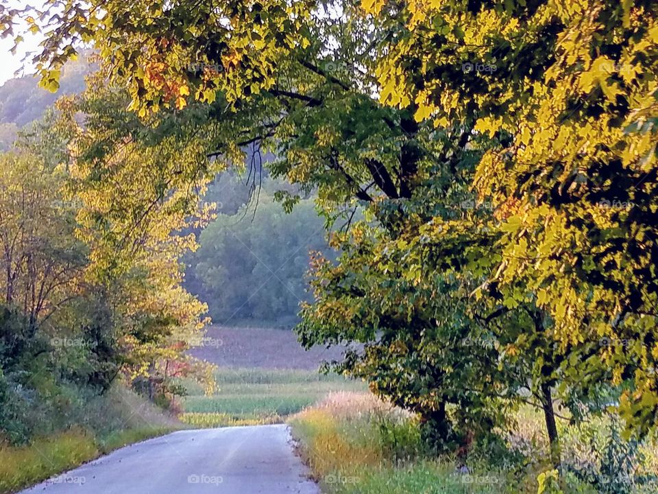 Driving the Back Roads and enjoying everything around us