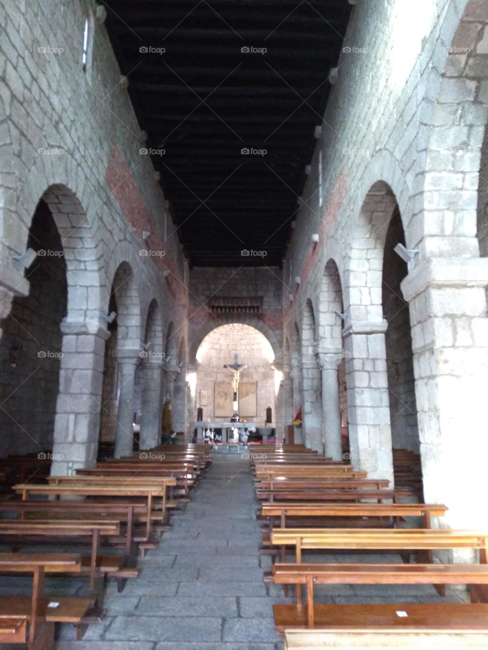 Editors' Choice: Photo of the Week