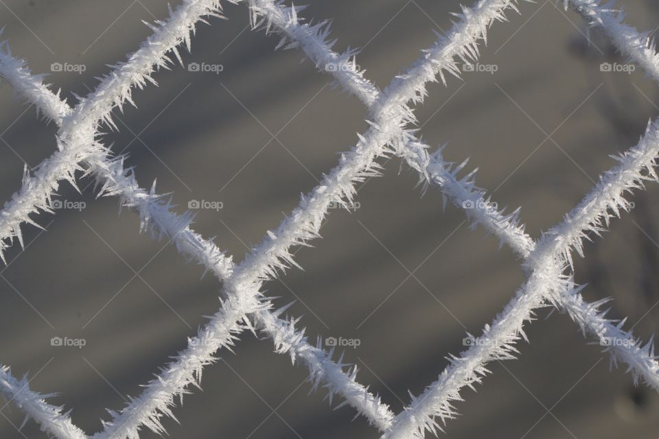 Close-up of frost on chainlink fence