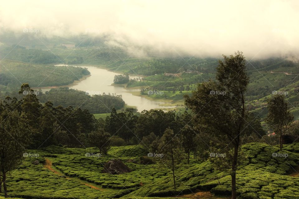 mesmerizing Munnar tea valley...