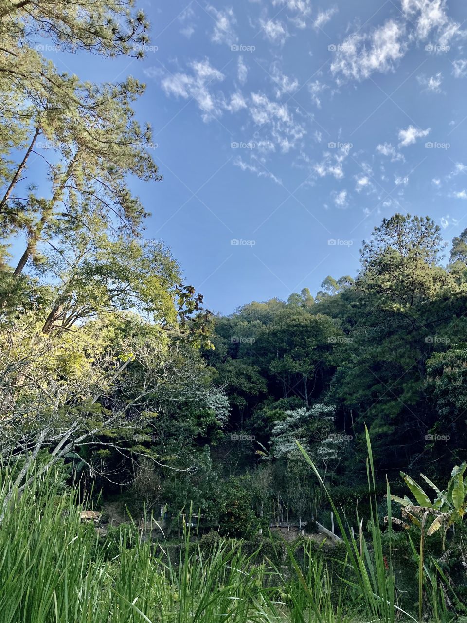 Agora: 15h20 na Serra do Japi em Jundiaí.

Aqui, o céu parece que está mais pertinho da gente!