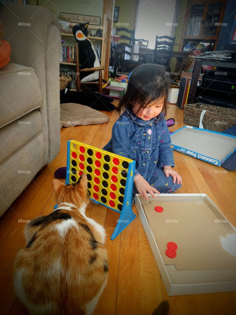 The Connect Four Game