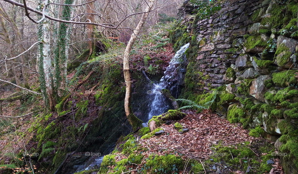 A small waterfall