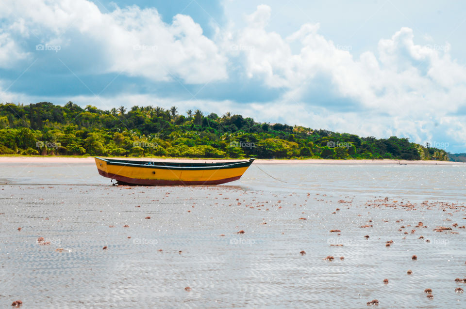 the so beautiful and desired beach of cumuruxatiba Bahia Brazil