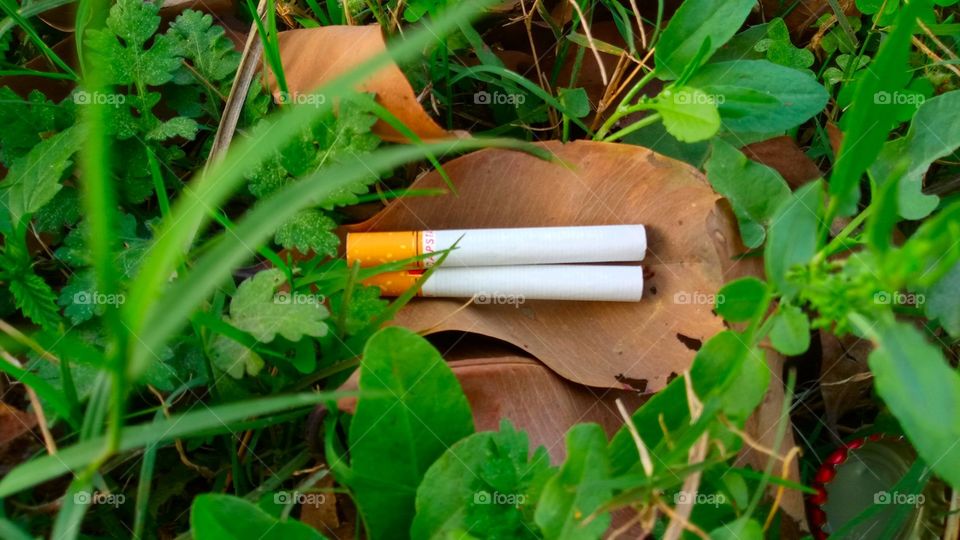 Capstan Cigarette