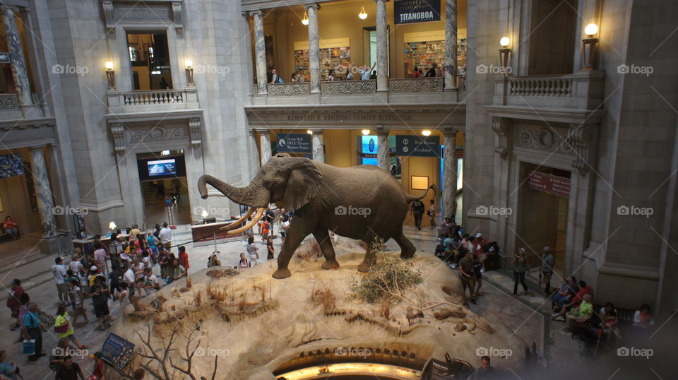 Smithsonian Museum