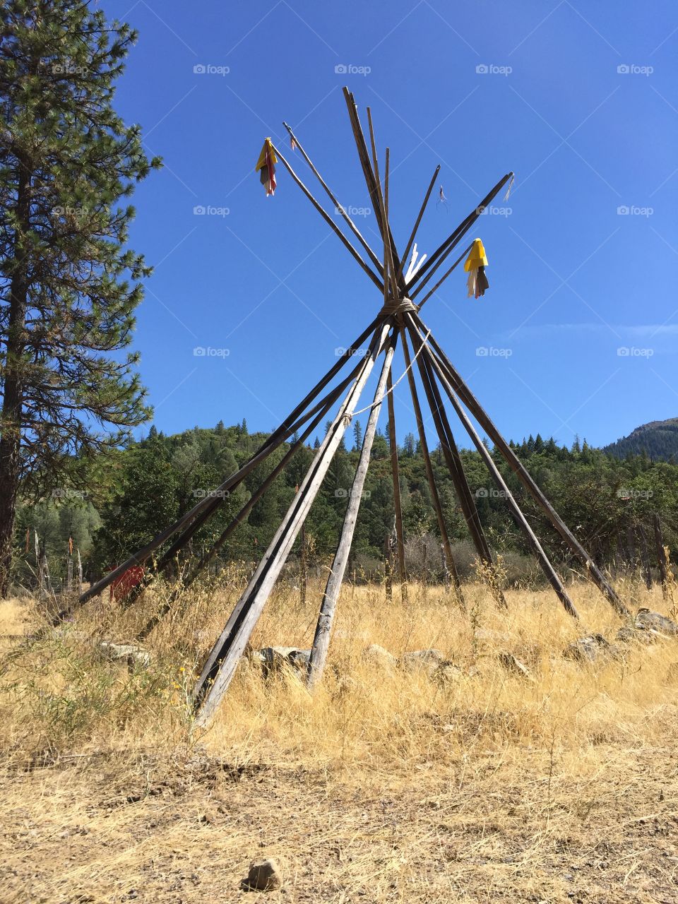 Teepee. Trinity National Forest hike trails with trees, bushes, plants and dirt! 