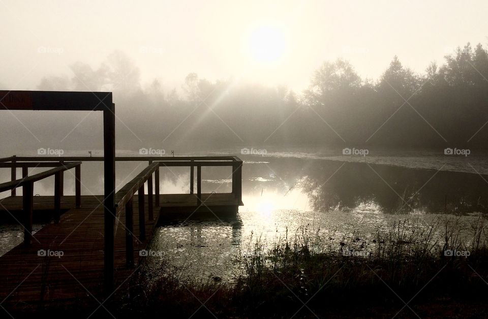 Pond fog