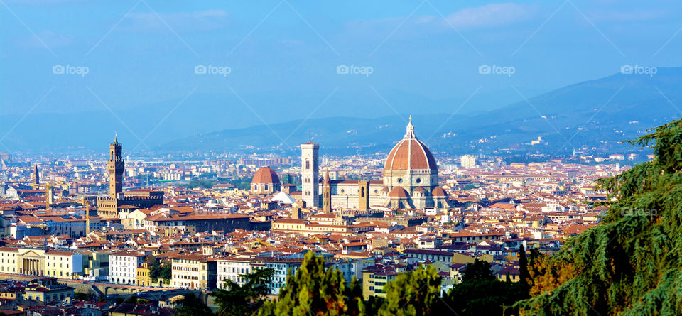 “Florentine”
Florence, Italy
