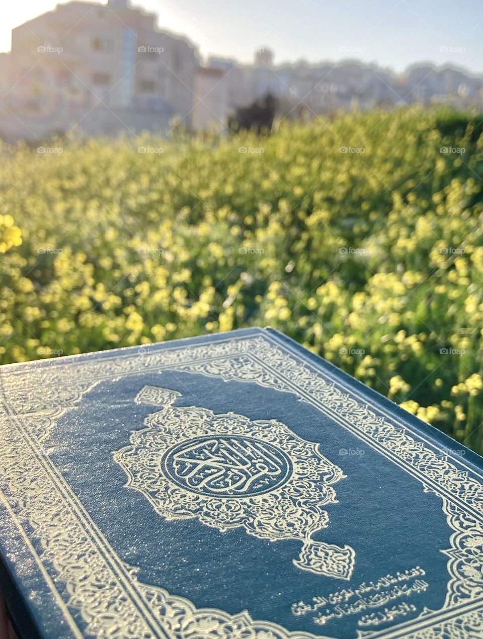 The Holy Quran this is our book, this is our constitution, this is our beacon.