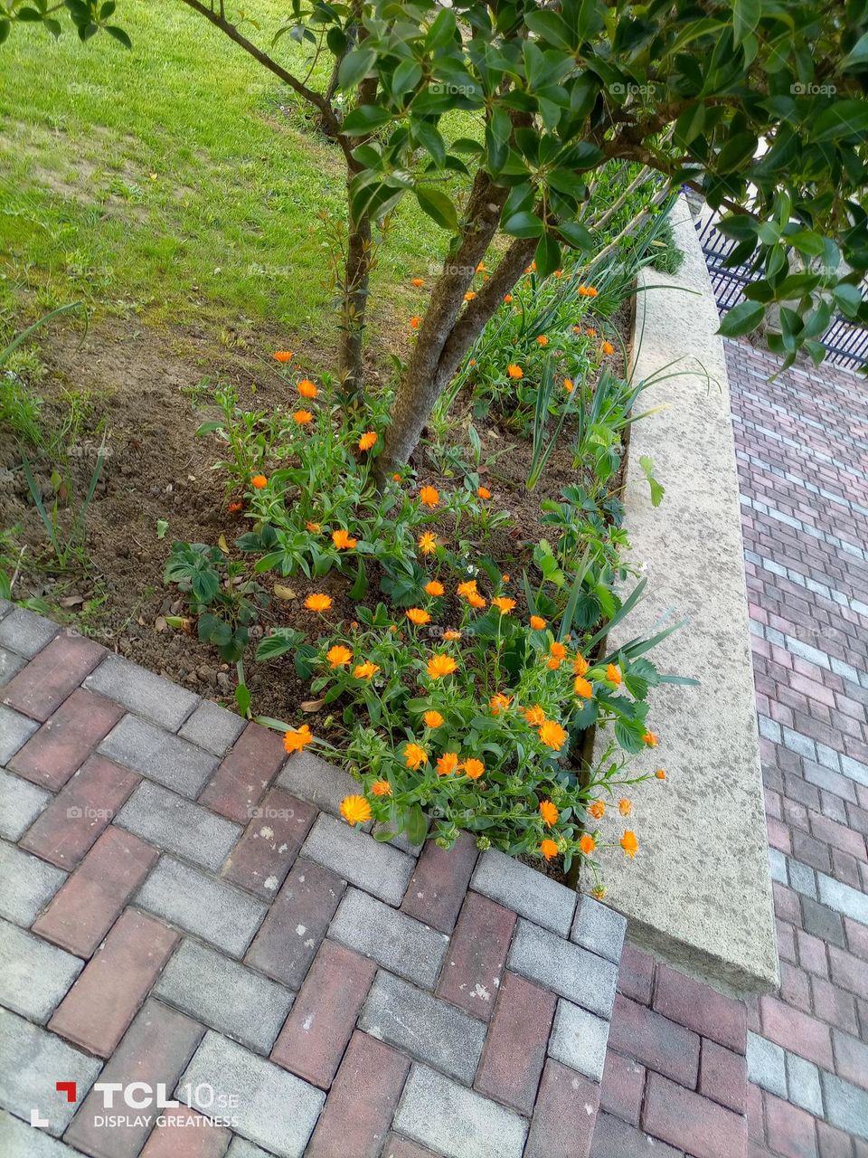 La natura, è splendida