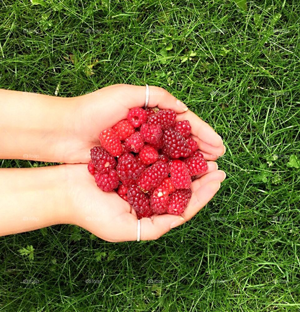 Directly above view of raspberries on hand