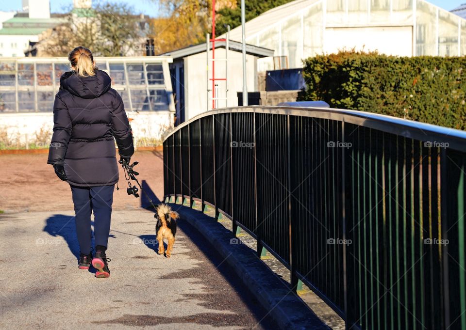 Walking the dog over a bridge