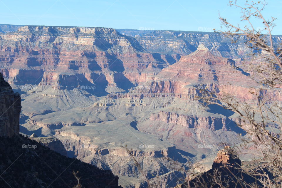 Grand Canyon View