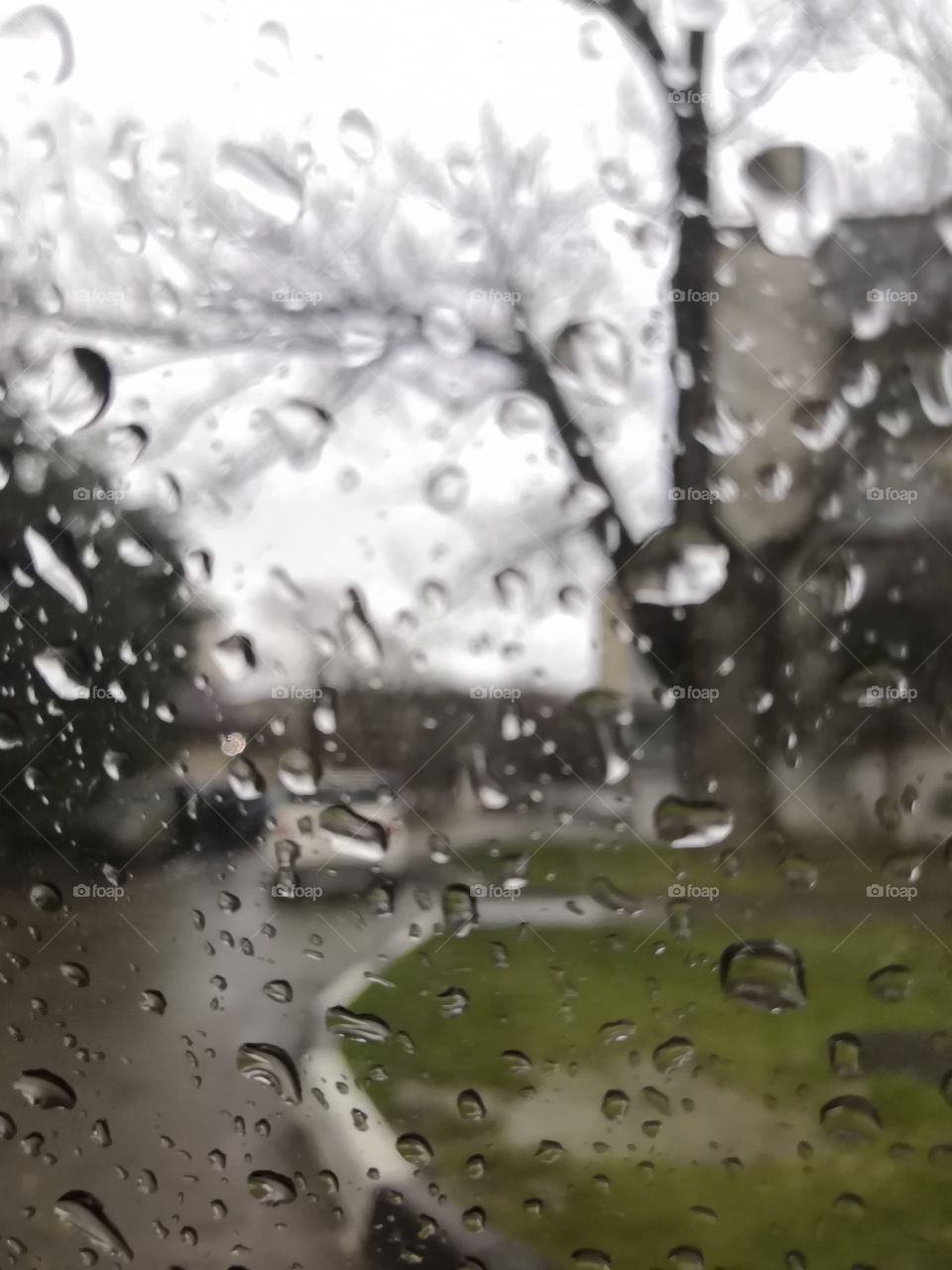 Rain