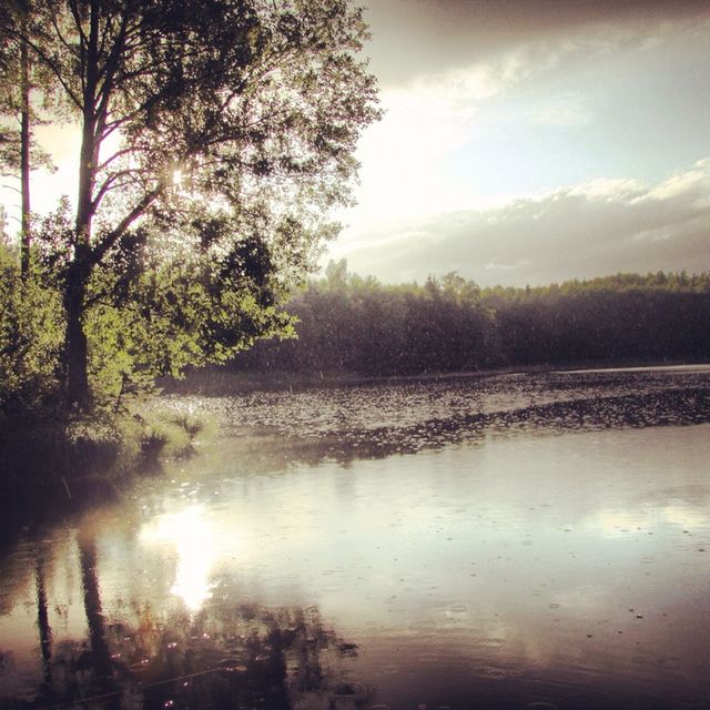 ocean sweden nature summer by jelkis