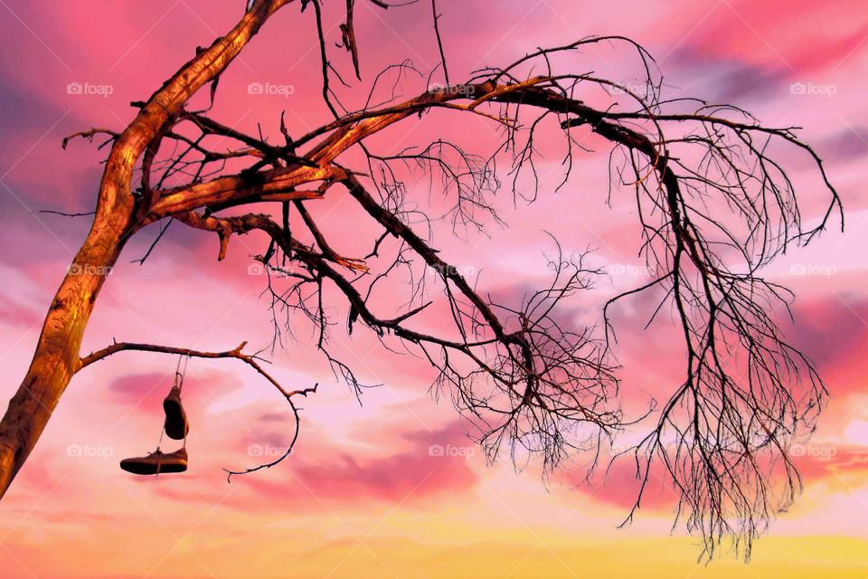 Johnny Where's Your Joggers